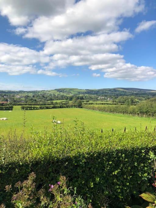Vila A View Of The Glens Martinstown Exteriér fotografie